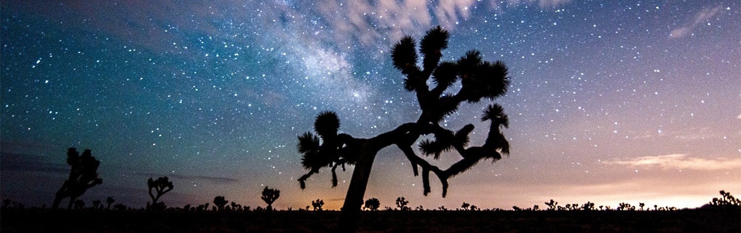 Joshua Tree