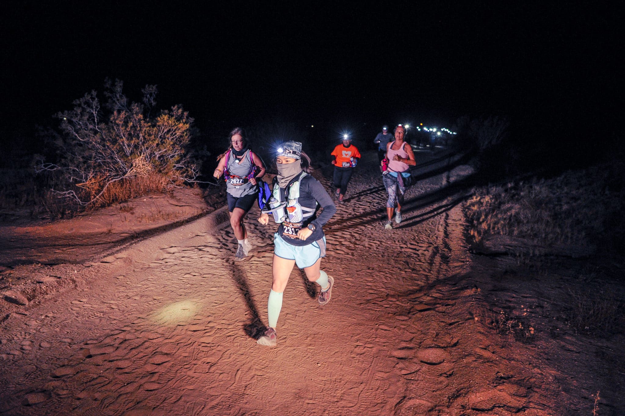 Joshua Tree__D3S1944