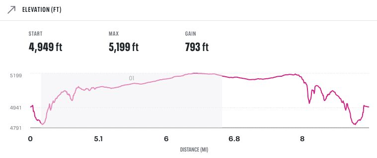 chart showing elevation for the 13 mile course