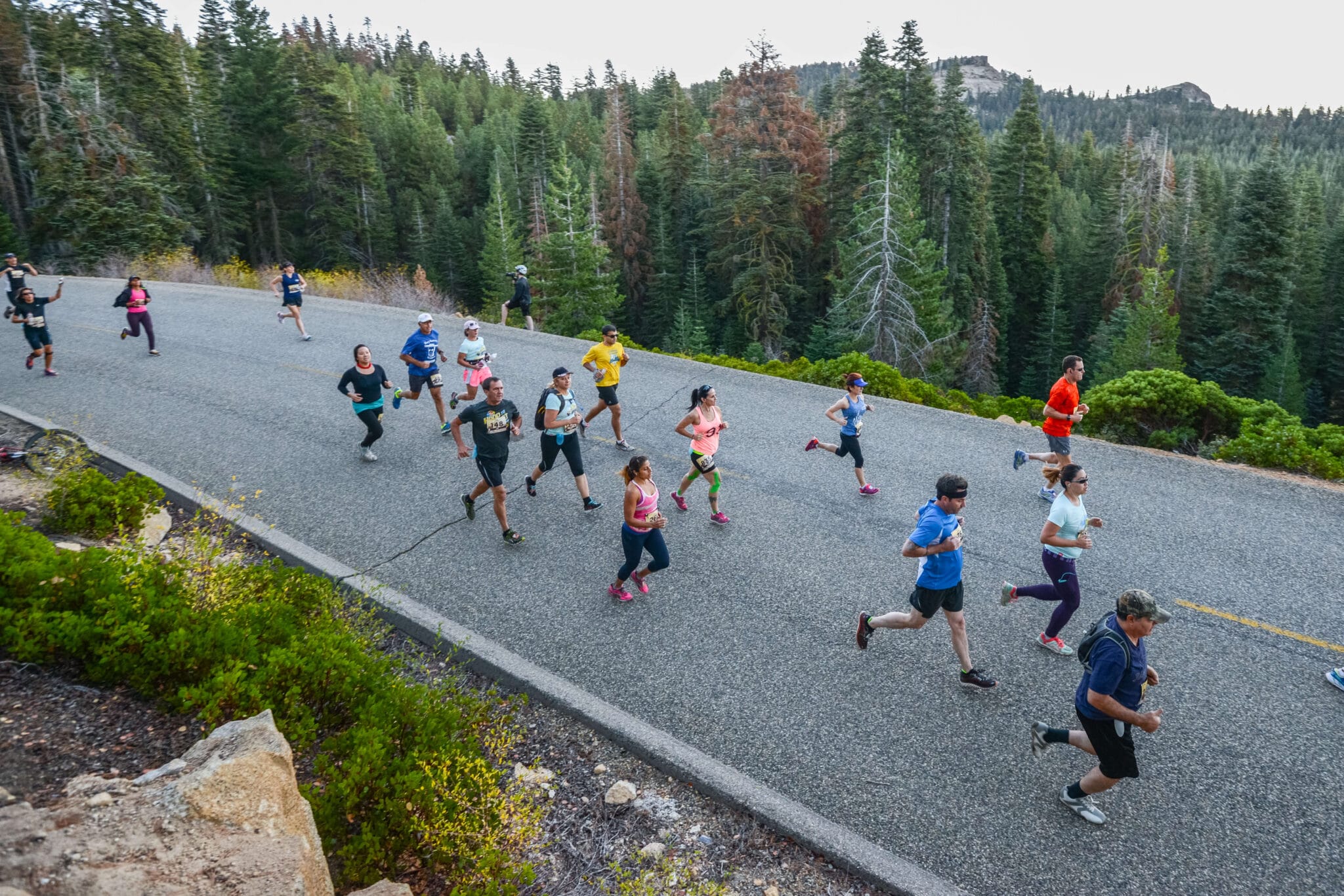 2015 YosemiteDSC_9035