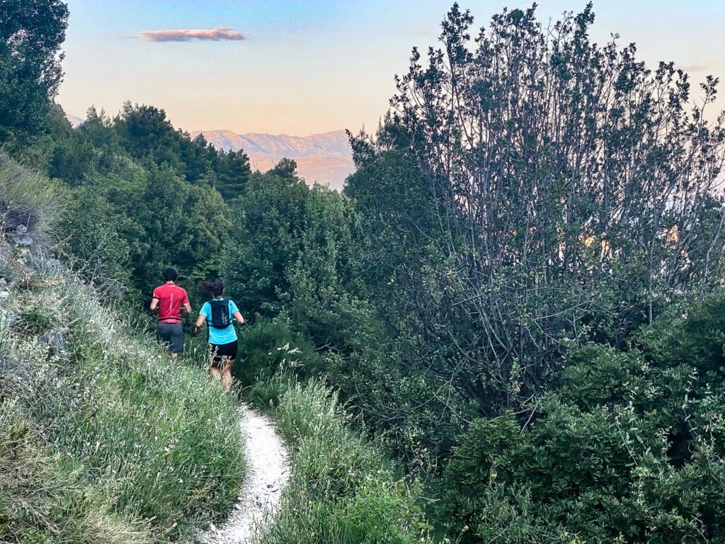 Two runners leaving through the trees at sunset