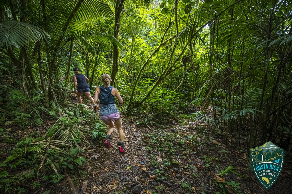 Runners make a turn through the jungle