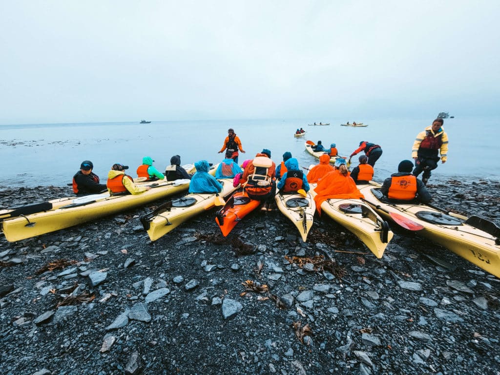 A row of ocean kayaks in bright colors are prepared for launch into a foggy, glacial bay