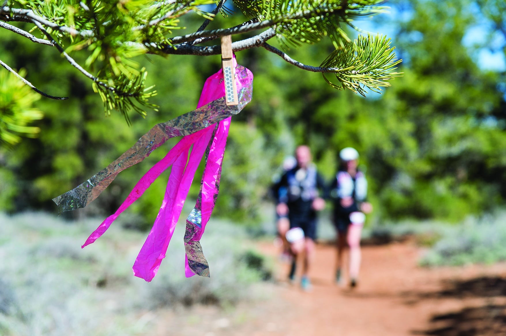 Pink and reflective silver hanging from a tree branch as a course marking