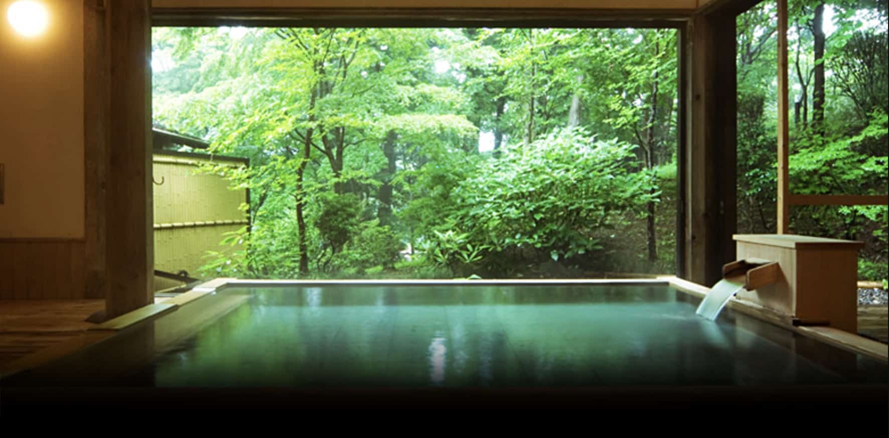 An indoor pool or onsen with calm waters overlooking a lush green forest