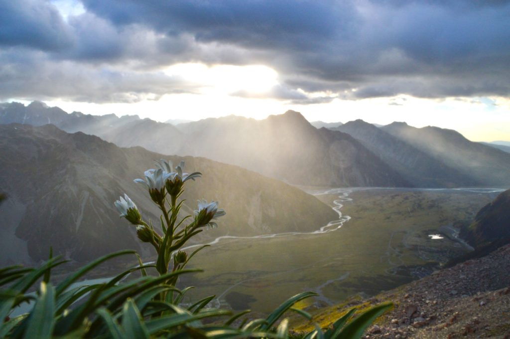 Sunlight streams down into the valley along the Hooker lake trail in New Zealand