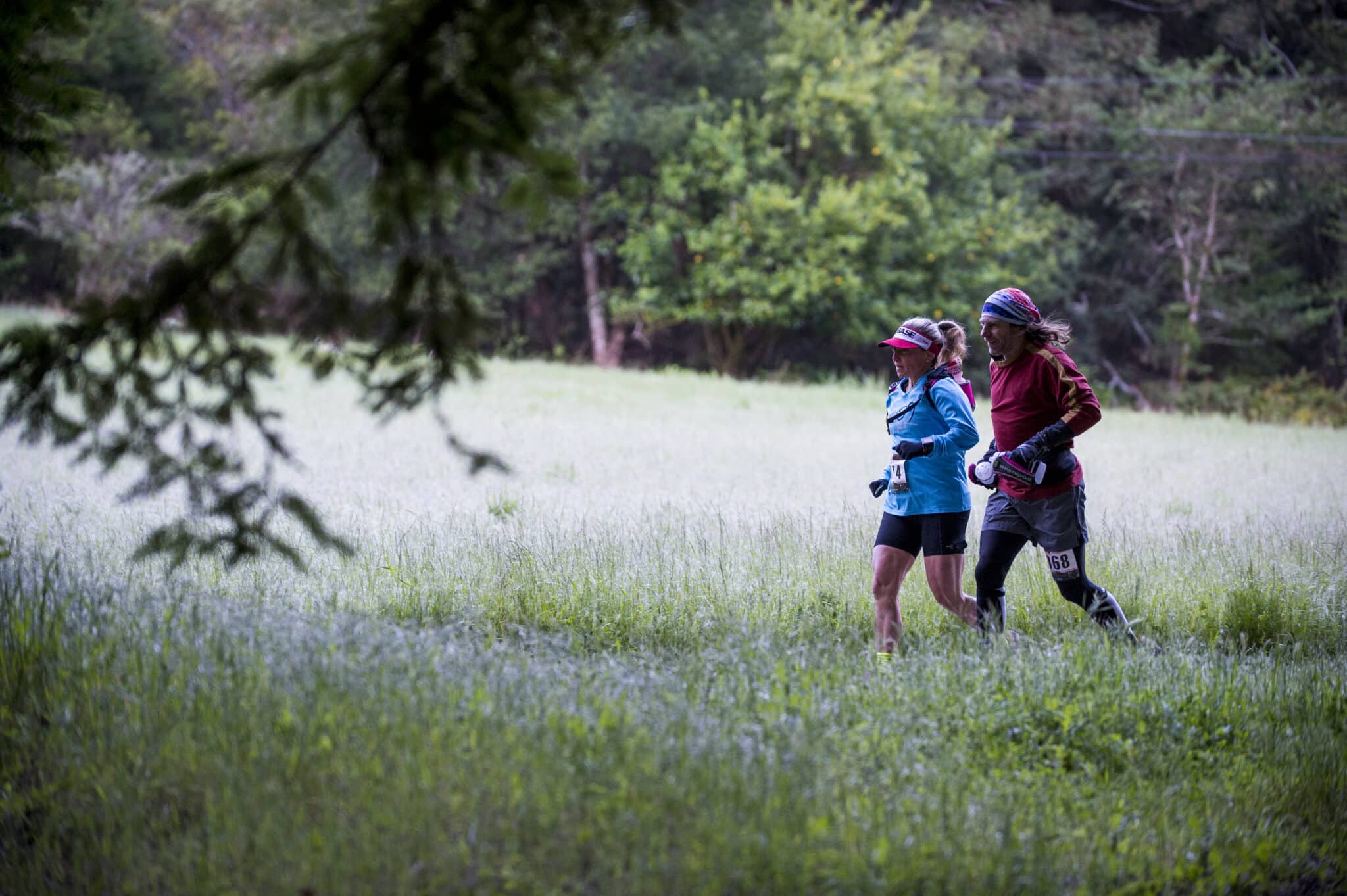 Vacation Races runners pass through a wildflower meadow in the forest at Coastal redwoods Trailfest