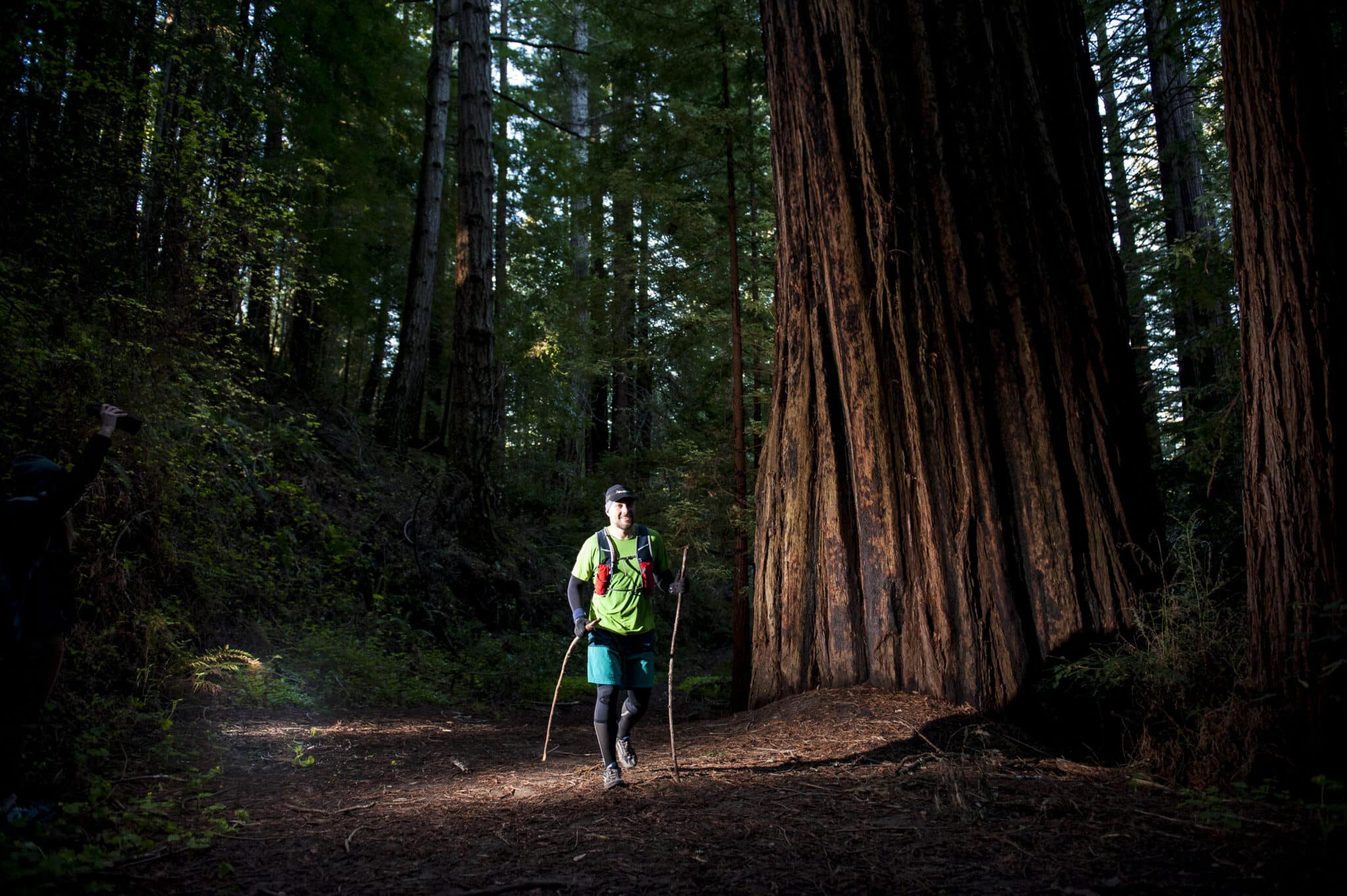 A runner passes a giant redwood tree on course at Coastal Redwoods Trailfest by Vacation races