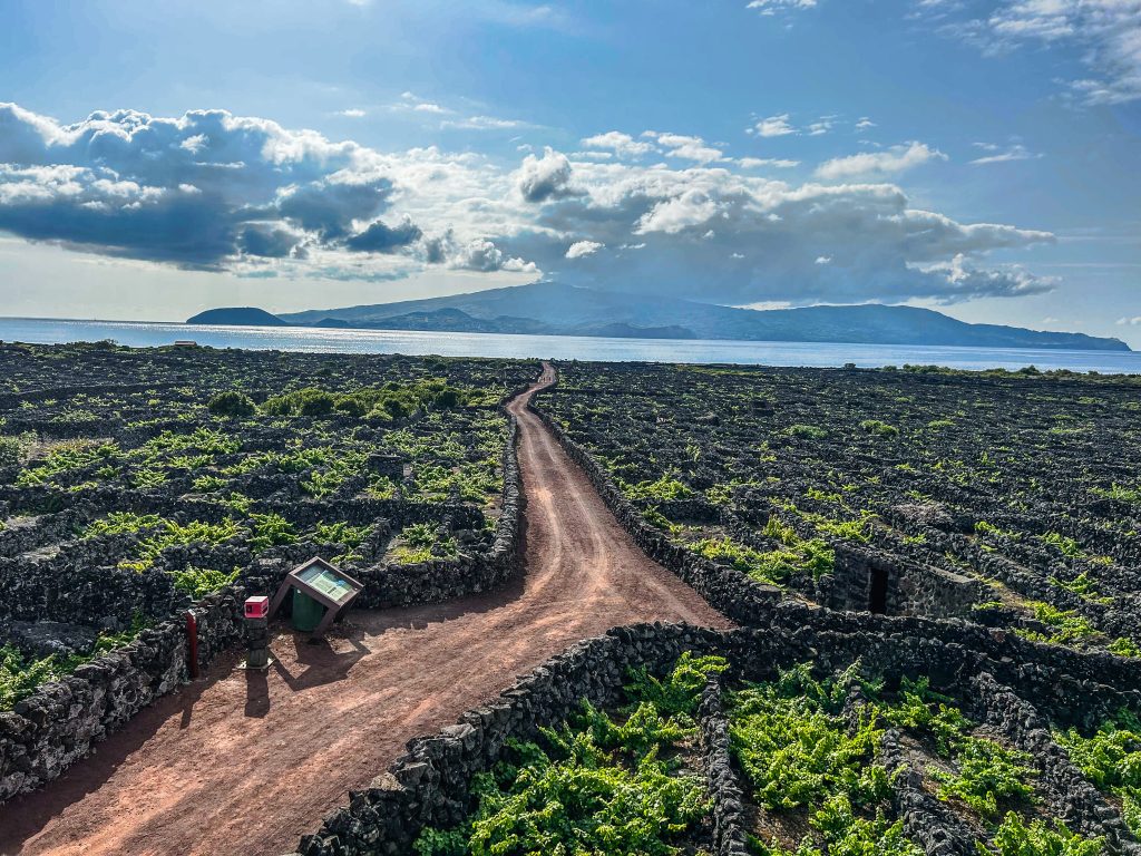 Vacation Races runners enjoy the sun as they run through lush, green volcanic trails on their all-inclusive running trip to Portugal's Azores