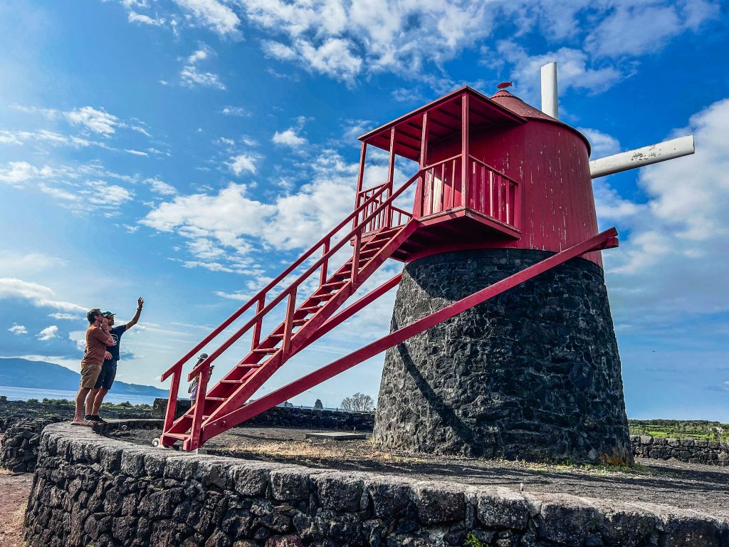 A vineyard run through Portugal the Azores