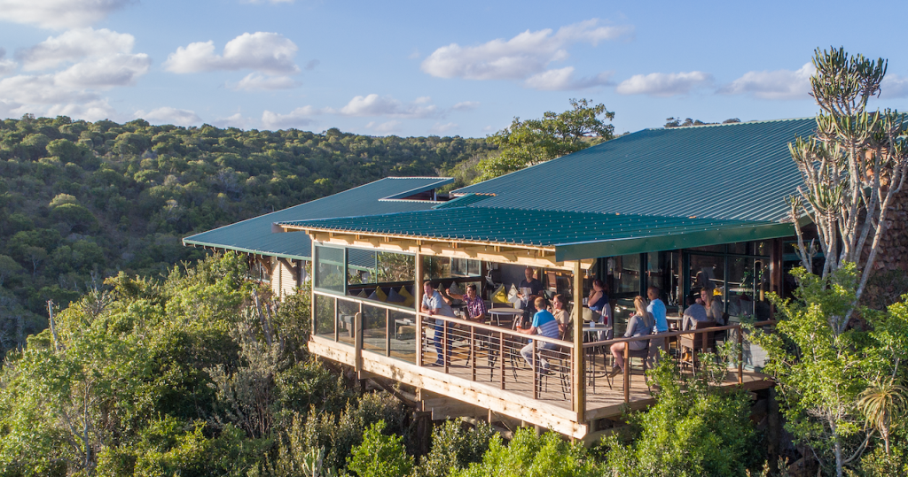 Kariega lodge lookout peeking over the tree tops