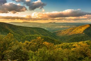Golden sun shines over emerald hills in the Blue Ridge Mountains of North Carolina