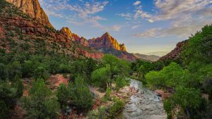 A pastoral scene in Zion National Park with the Watchman peak in the distance as the Virgin river flows